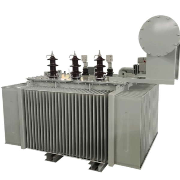 6KV-22KV Electric Oil Immersed Power Transformer/Distribution Transformer